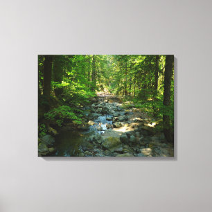 Toile Le ruisseau Laughwater au parc national Mount Rain