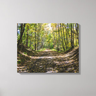 Toile Le sentier Virginia Creeper