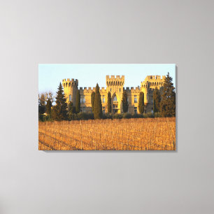 Toile Le vignoble avec des vignes de syrah et le château
