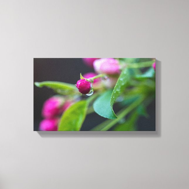 Toile L'Eau Sur Crabappy Bud (Recto)