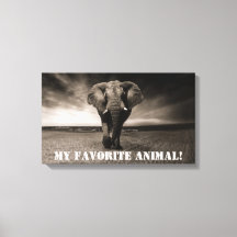 L'éléphant comme mon animal favori !