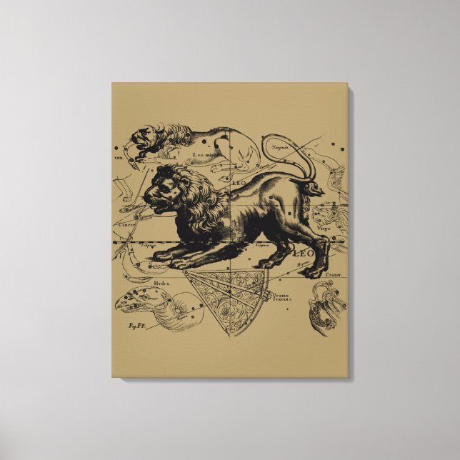 Toile Leo Constellation Hevelius 1690 juillet 23 août 22 (Recto)