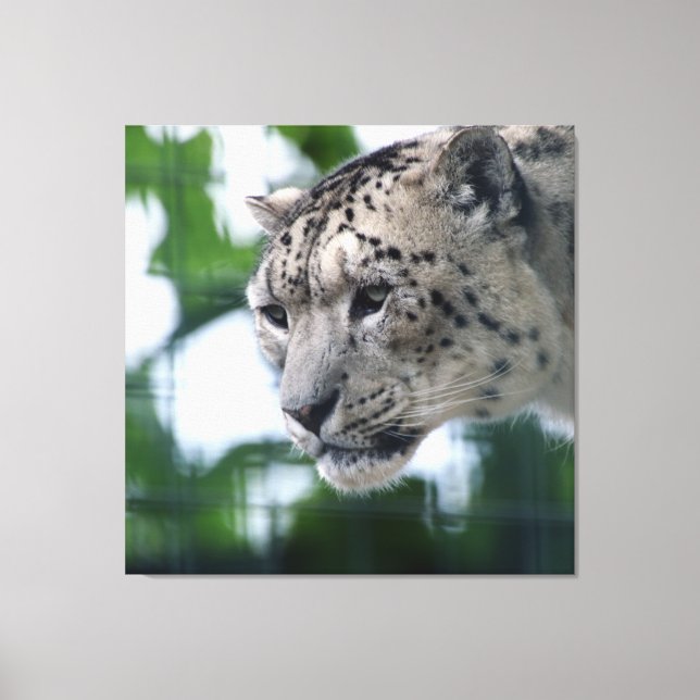 Toile Leopard 003 (Recto)