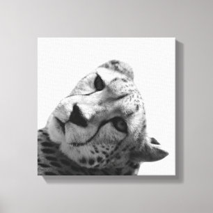 Toile Leopard cheetah animal sauvage photo noir et blanc
