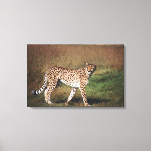 Toile Leopard dans la plaine