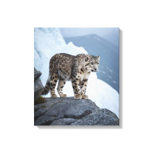 Leopard des neiges sur un pic gelé