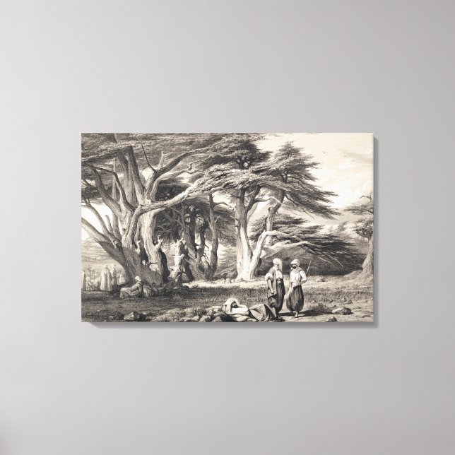 Toile Les Cèdres du Liban, gravés par Freeman (sépia (Recto)