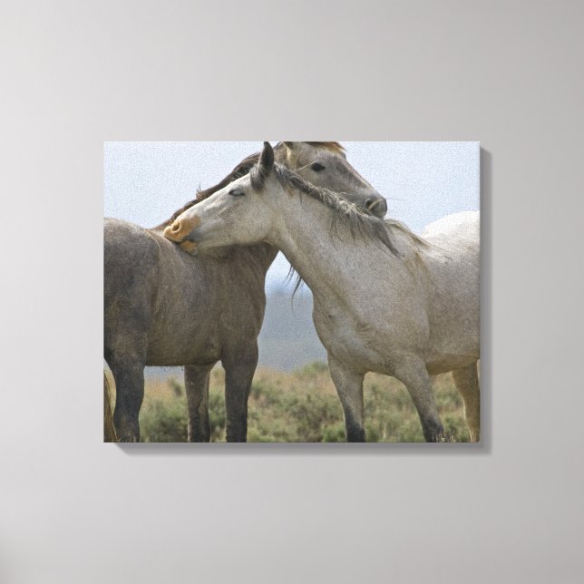 Toile Les Chevaux Sauvages (Recto)
