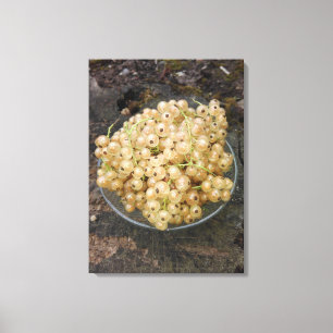 Toile Les Courants Blancs Biologiques Du Jardin