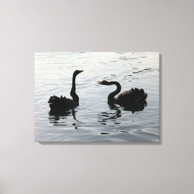 Toile Les cygnes noirs saluent (Recto)