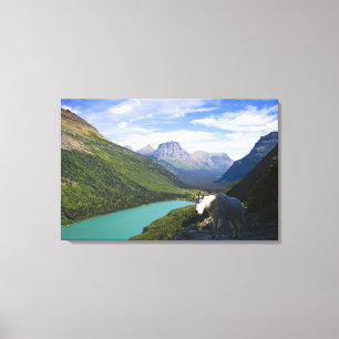 Toile Les Etats-Unis, Montana, parc national de glacier,