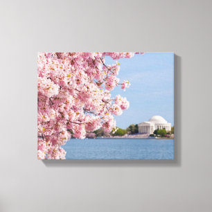 Toile Les Etats-Unis, Washington DC, cerisier