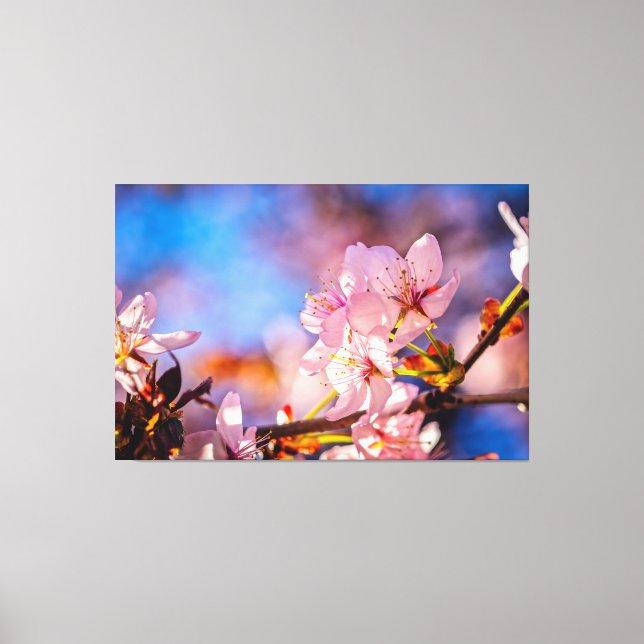 Toile Les fleurs brillantes de Sakura (Recto)