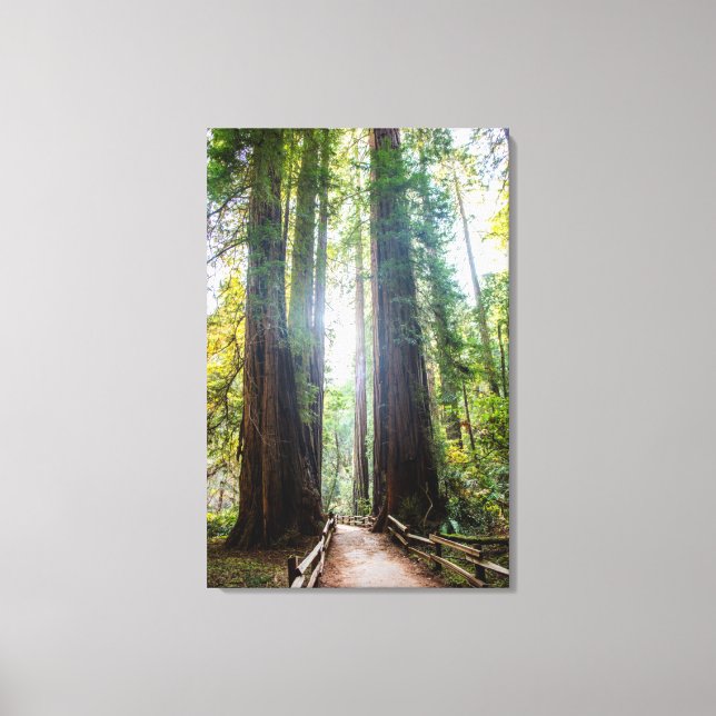 Toile Les grands arbres (Recto)