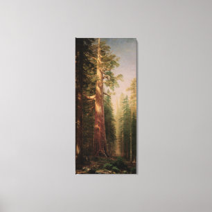 Toile Les grands arbres, Mariposa Grove, CA par Bierstad