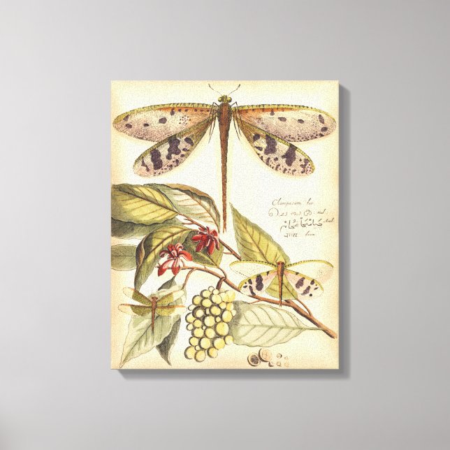 Toile Les libellules aux Feuilles et aux fruits (Recto)