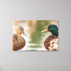Toile Les Mallards