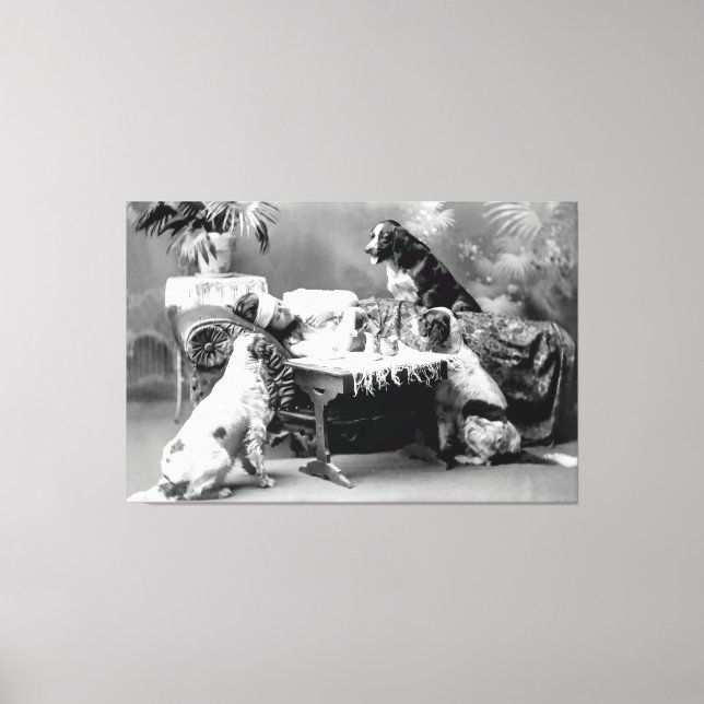 Toile Les meilleurs amis de la femme s'occupent d'elle p (Recto)