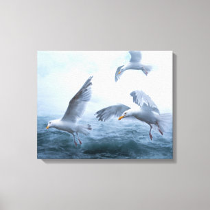 Toile Les mouettes volent au-dessus de la mer