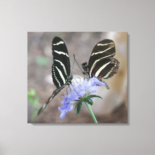 Toile Les papillons Zebra !