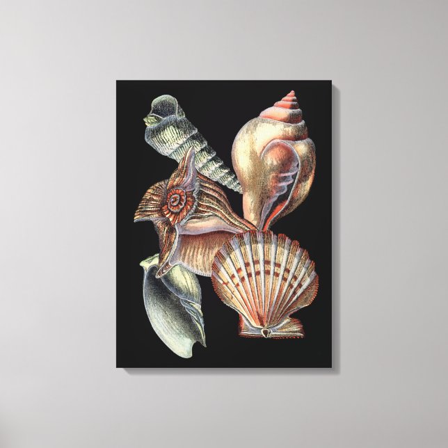 Toile Les trésors de la mer (Recto)