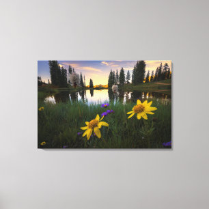 Toile Lever de soleil serein au-dessus d'un étang du