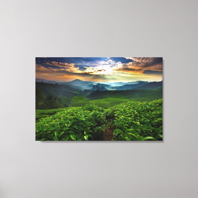 Toile Lever de soleil sur la ferme de thé (Recto)