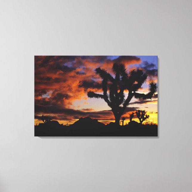 Toile Lever du soleil spectaculaire à Joshua Tree Nation (Recto)