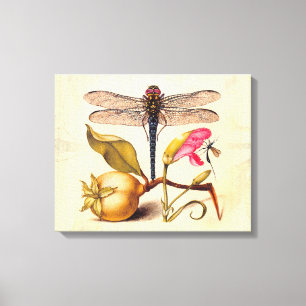 Toile Libellule Botanique Nature Faune Hoefnagel Art