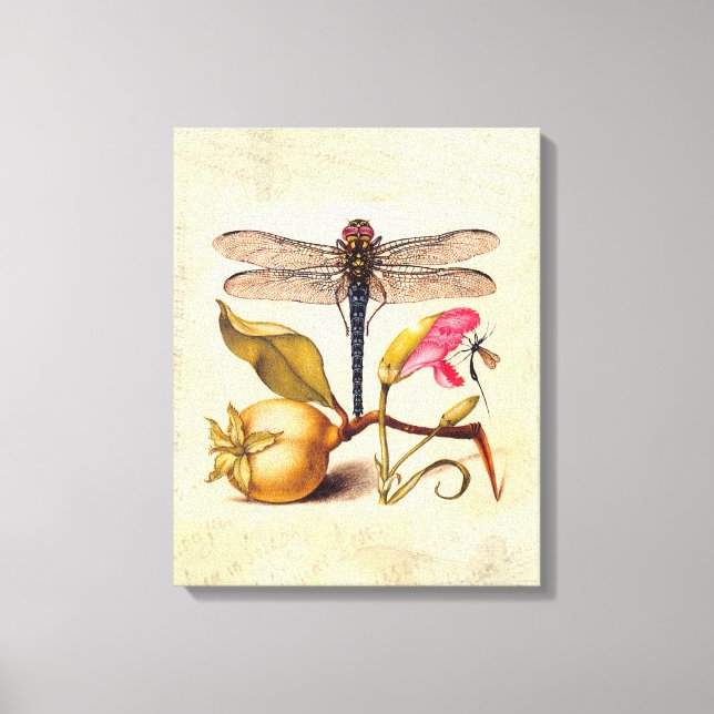 Toile Libellule Botanique Nature Faune Hoefnagel Art (Recto)