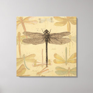 Toile Libellule Vintage Antique Classique Nature