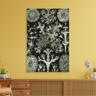 Toile Lichen par Ernst Haeckel, Plantes de la nature vin