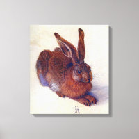 Lièvre jeune par Albrecht Durer, Art Renaissance