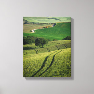 Toile Lignes courbes en Toscane verte imprimé