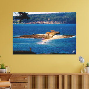 Toile L'île Baby sur l'île Whidbey #1