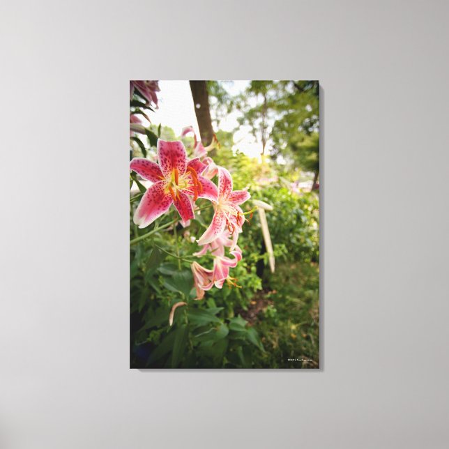 Toile Lillies roses (Recto)