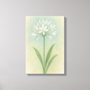 Toile Lily du Nil