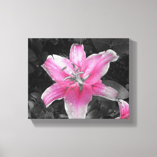 Toile Lily rose (Recto)