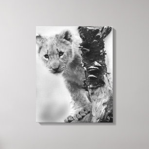 Toile Lion noir et blanc