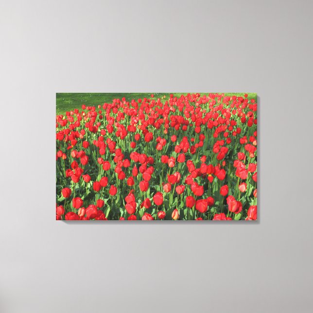 Toile Lit des Tulipes rouges 02 (Recto)