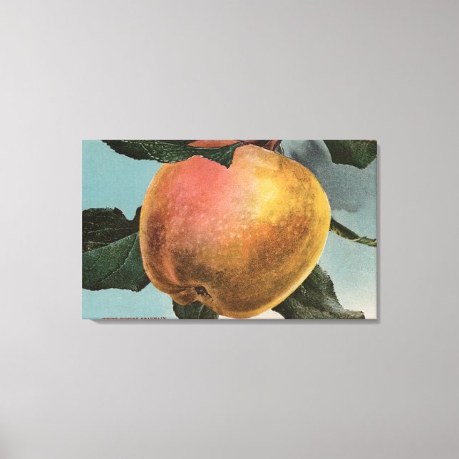 Toile Lithographie de Chromo de Fruit blanc Pearmain d'h (Recto)