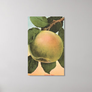 Toile Lithographie de Chromo de fruit de Newtown Pippen