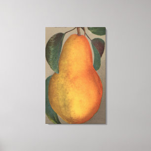 Toile Lithographie de chromo de fruits de Bartlett Pear