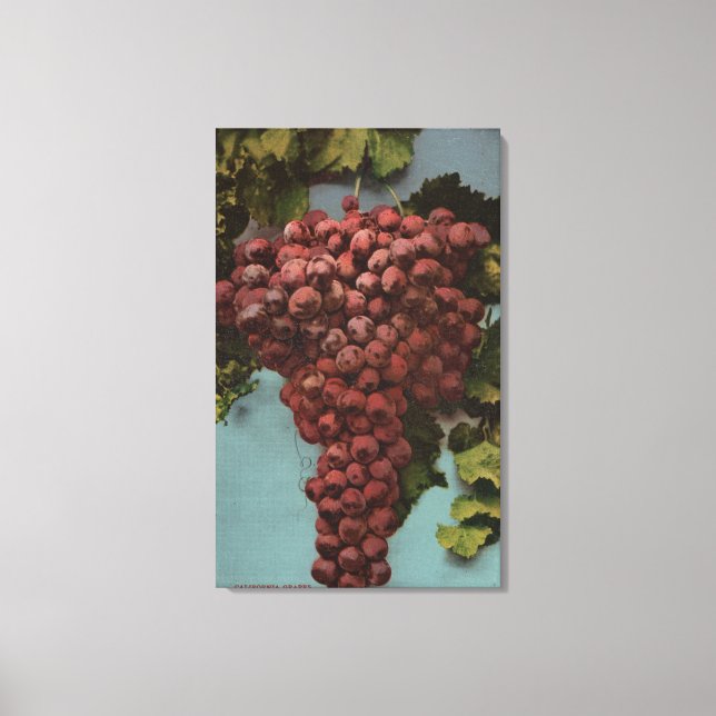 Toile Lithographie de Chromo de Fruits de Californie (Recto)