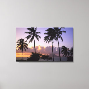 Toile Littoral St. Kitts
