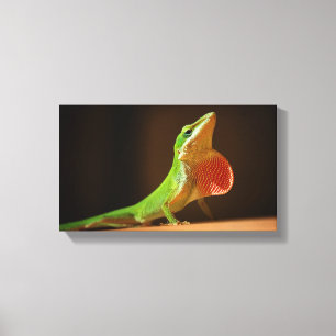 Toile Lizard d'oignon vert avec Thraot rouge