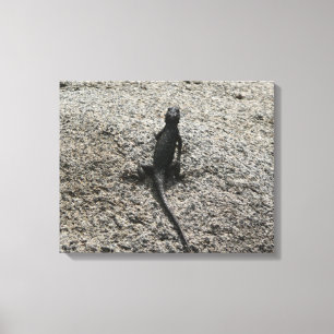 Toile Lizard noir