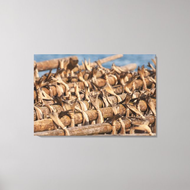 Toile Lofoten Islands Stockfish (Recto)
