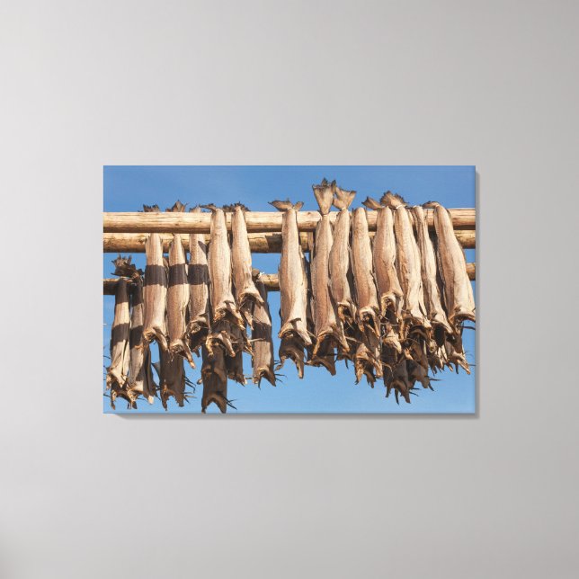 Toile Lofoten Stockfish (Recto)