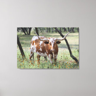 Toile Longhorn